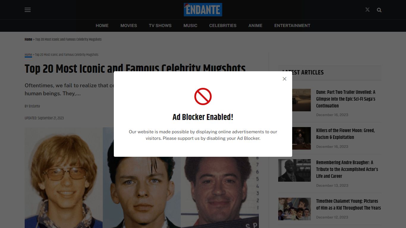 Top 20 Most Iconic and Famous Celebrity Mugshots - Endante